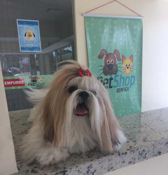 Foto 4 Pet Shop Benfica