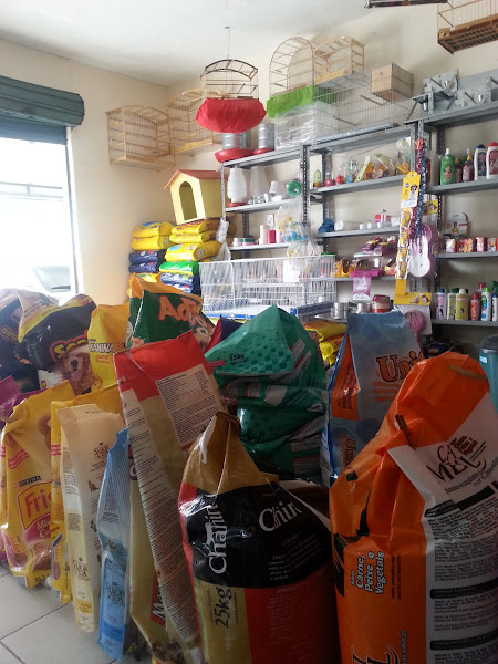 Foto 1 Girassol Pet Shop