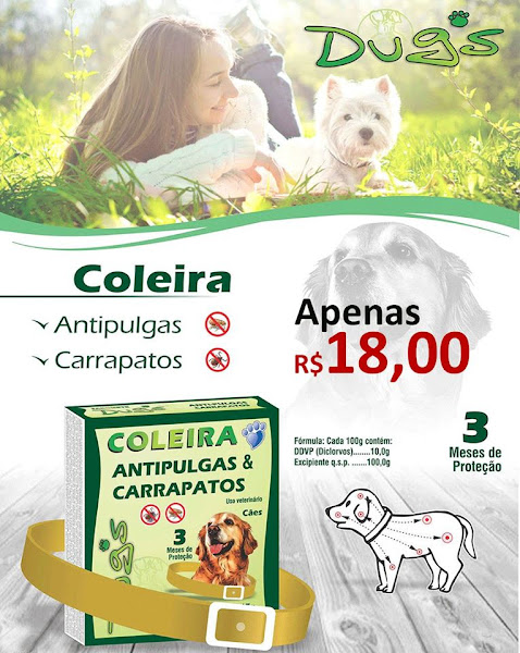 Foto 3 Girassol Pet Shop