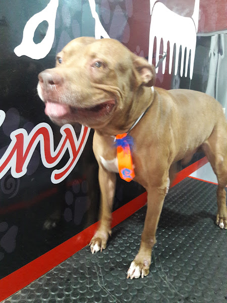 Foto 2 Crislainy Raçoes Pet Shop