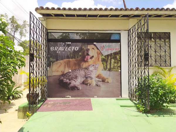 Foto 1 MR CLINICA - Pet Shop E Clínica Veterinária