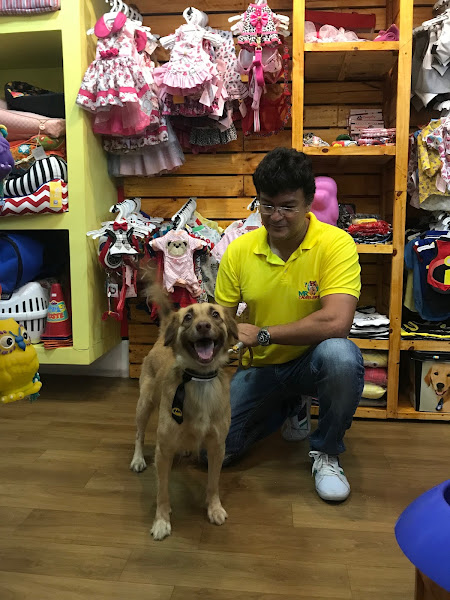 Foto 4 MR CLINICA - Pet Shop E Clínica Veterinária