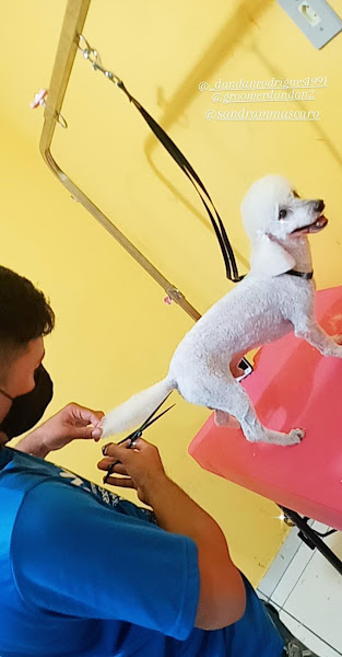 Foto 3 Pet Shop Bixus.Com