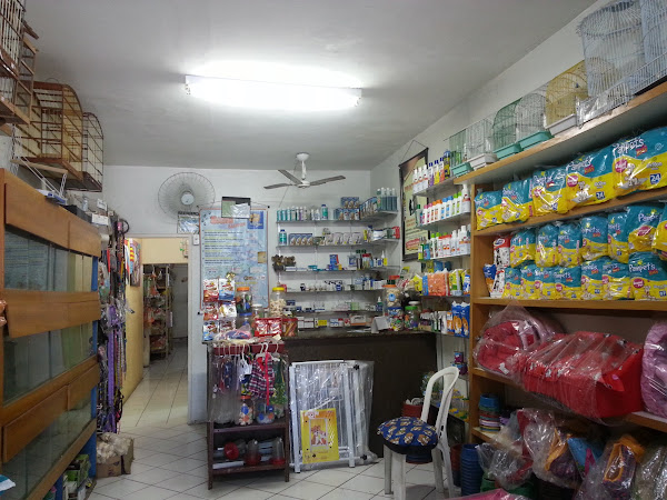 Foto 1 Bicho Fashion-Pet Shop