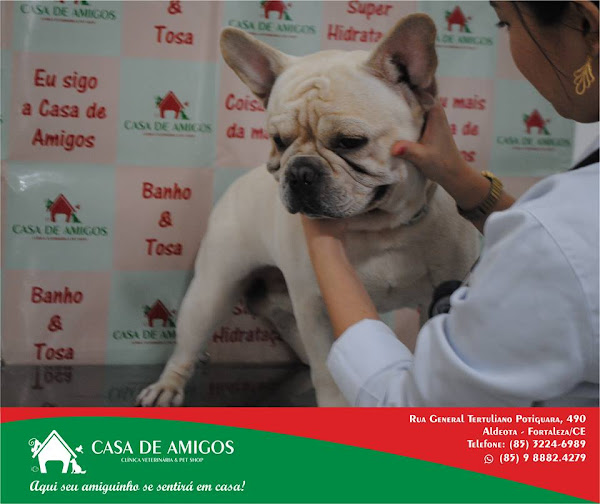 Foto 3 Casa de Amigos Pet Shop e Clínica Veterinária