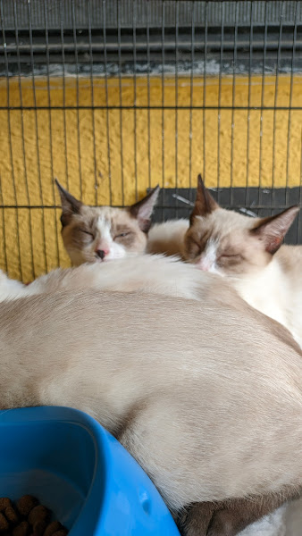 Foto 1 PRO CAMPO PET SHOP