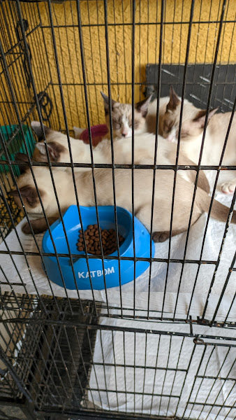 Foto 3 PRO CAMPO PET SHOP