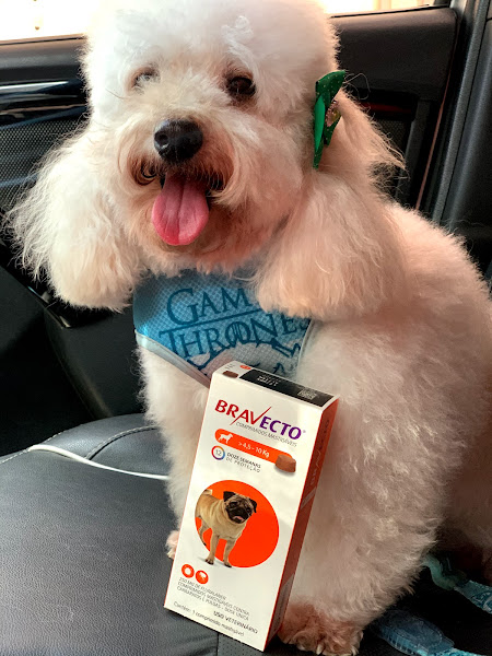 Foto 4 PRO CAMPO PET SHOP