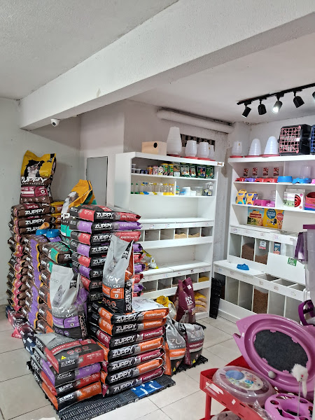 Foto 1 Pet Shop Dog Mania