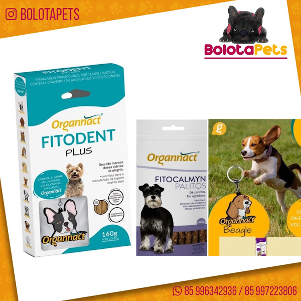 Foto 1 Bolota Pets: Ração, Cama para Pet, Pet Shop, Fortaleza CE