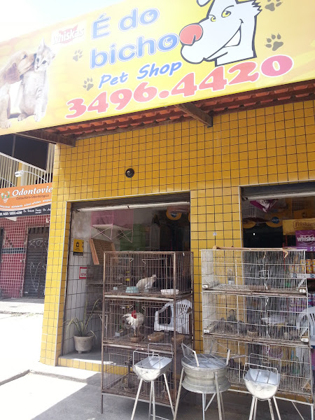 É do Bicho Pet Shop