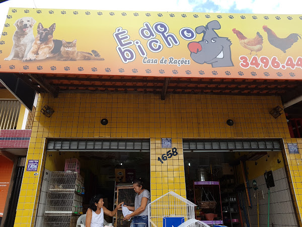 Foto 2 É do Bicho Pet Shop
