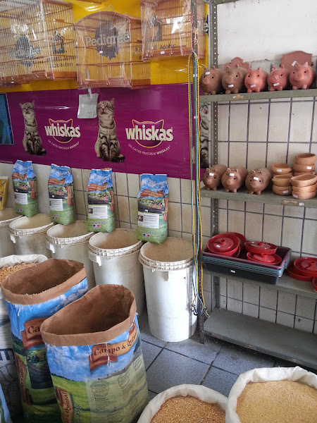 Foto 3 É do Bicho Pet Shop