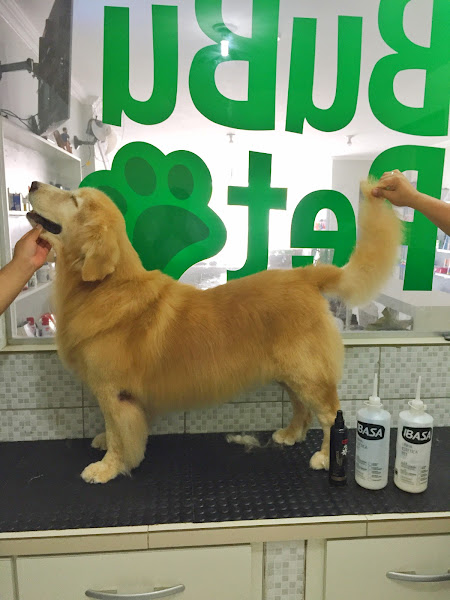 Foto 1 BuBuPet | PetShop