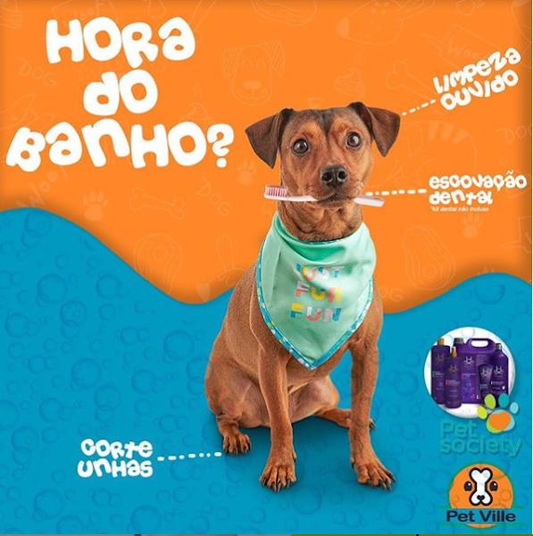 Foto 4 Pet Ville Messejana