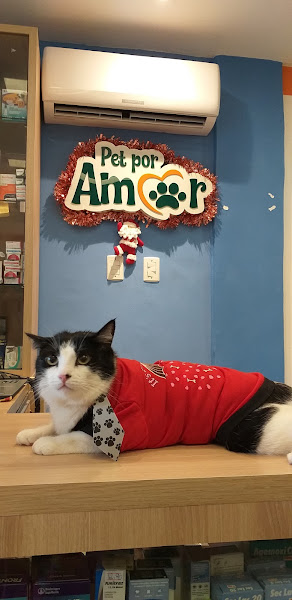 Foto 2 Pet Por Amor