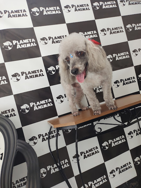 Foto 4 Planeta Animal-Pet Shop