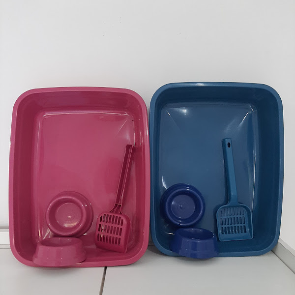 Foto 2 Pet Shop Coisas de Filhote