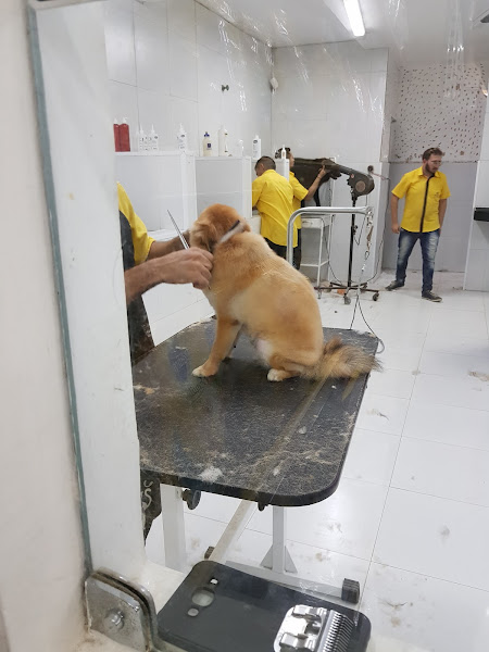 Foto 2 N Pet - Cocó