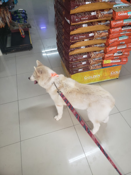 Foto 3 N Pet - Cocó