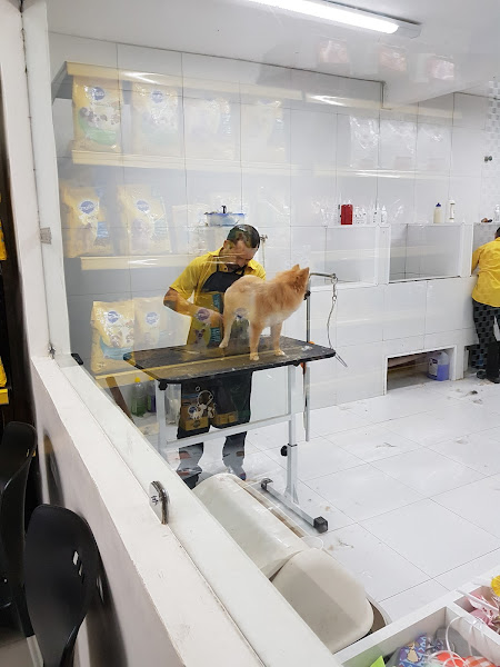 Foto 4 N Pet - Cocó