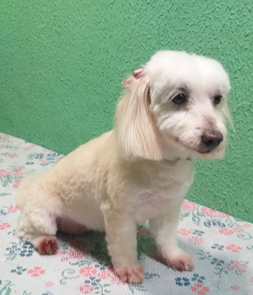 Foto 2 Agrocenter Pet Shop