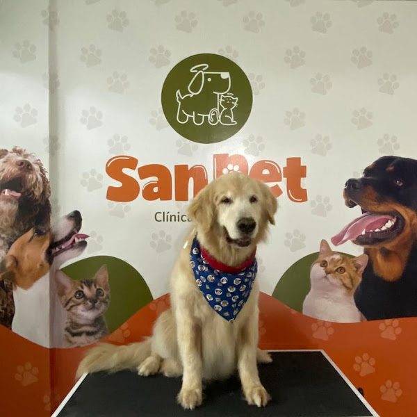 SanPet Clinica e Pet Shop