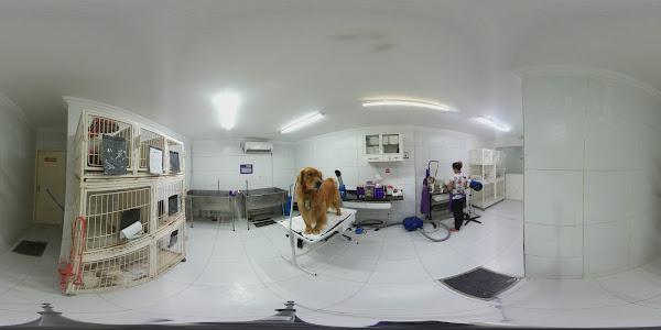 Foto 2 SanPet Clinica e Pet Shop