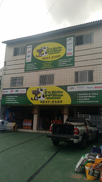 Foto 2 É o Bicho Pet Shop