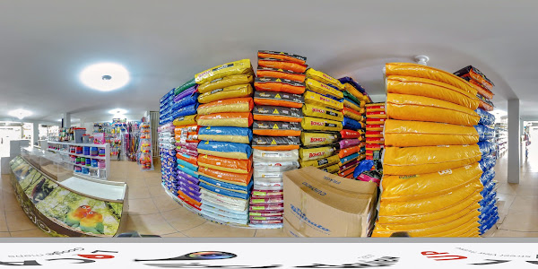 Foto 4 É o Bicho Pet Shop