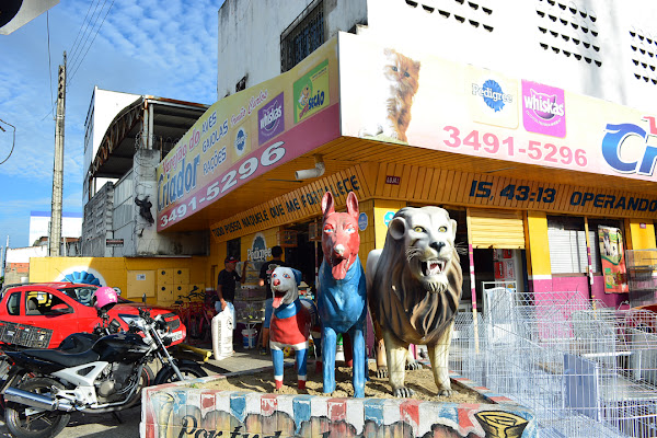 Foto 5 Varejão do Criador