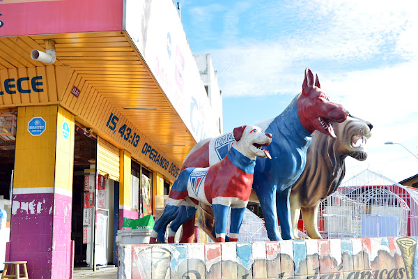 Foto 6 Varejão do Criador