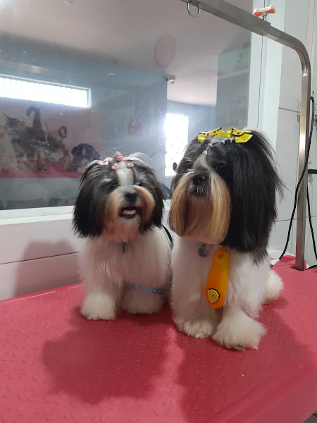 Foto 3 Cantinho dos Pets