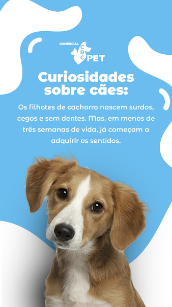 Foto 2 CRC Pet -Loja I