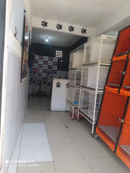 Foto 1 pet shop dog e cia