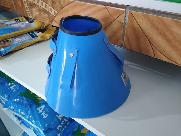 Foto 2 pet shop dog e cia