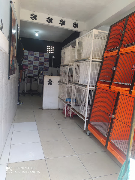 Foto 3 pet shop dog e cia