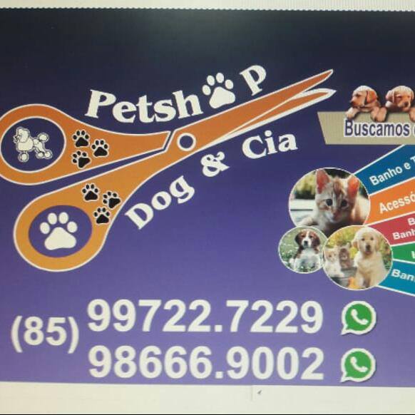Foto 4 pet shop dog e cia
