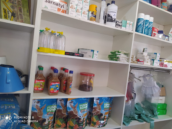 Foto 5 pet shop dog e cia