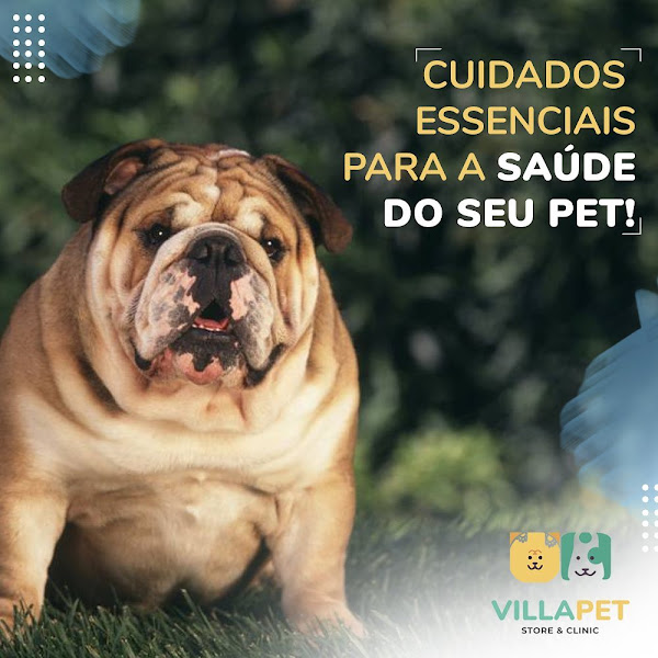 Foto 5 Villa Pet Store & Clinic