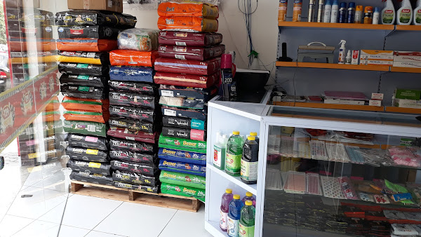 Foto 3 PetStop Maraponga