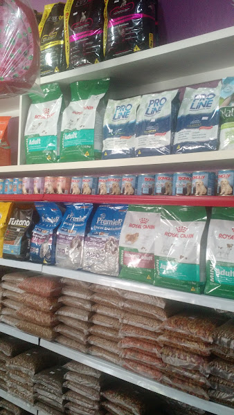 Dapper pet Dapper pet