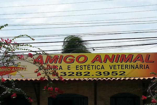 Amigo Animal