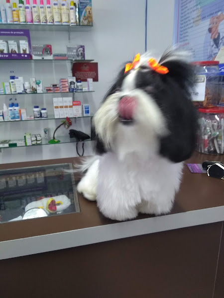 Foto 3 Alfhaville Veter - Loja 1