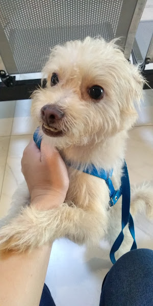 Foto 2 Clinica Veterinária Etave