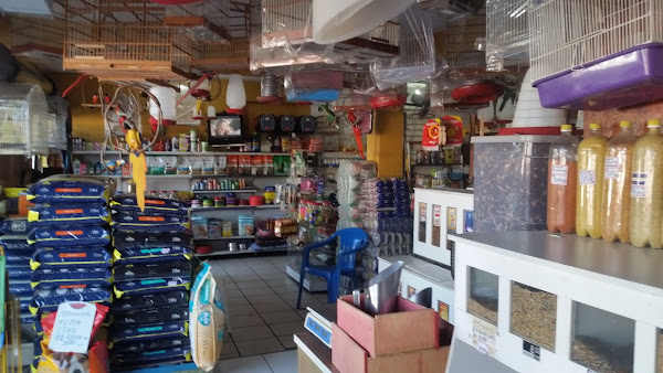 Foto 5 Avenida Pet Shop Aerolândia