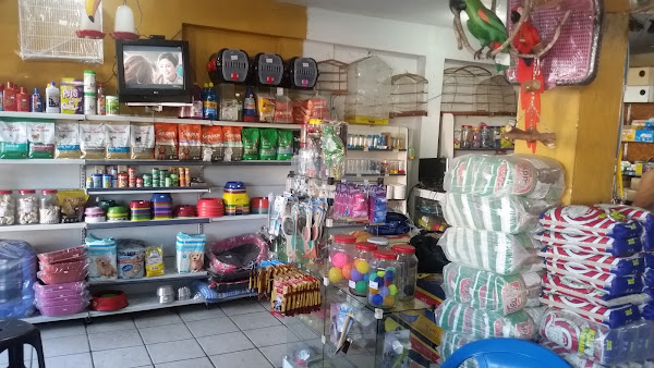 Foto 6 Avenida Pet Shop Aerolândia