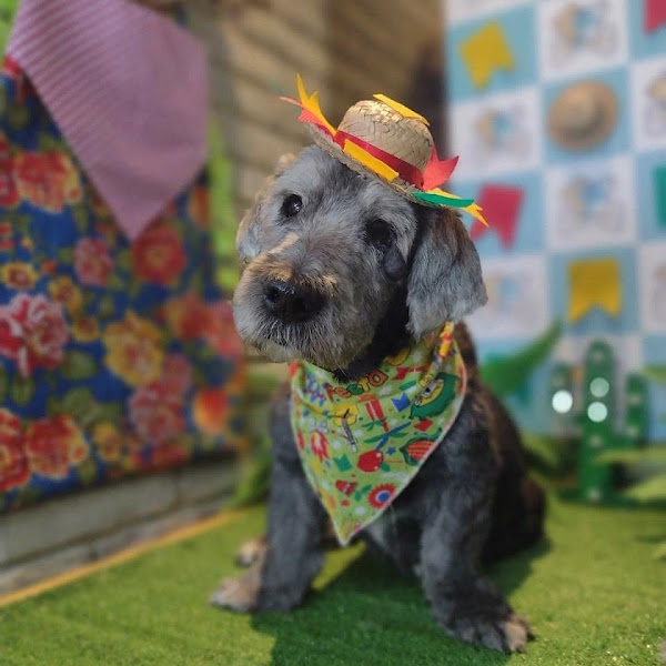 Foto 4 Zoopetmania Foto 4 Zoopetmania