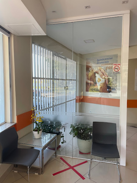 Foto 1 Vetclinic | Hospital Veterinário 24 Horas