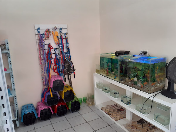 Foto 2 Mercadinho Pet